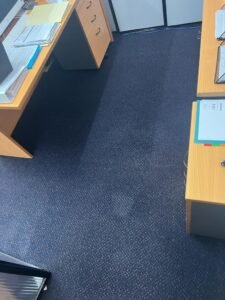Carpet Professionally Cleaned by Stella Team